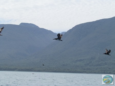 Fotos da pesca esportiva em Chaiten no Chile